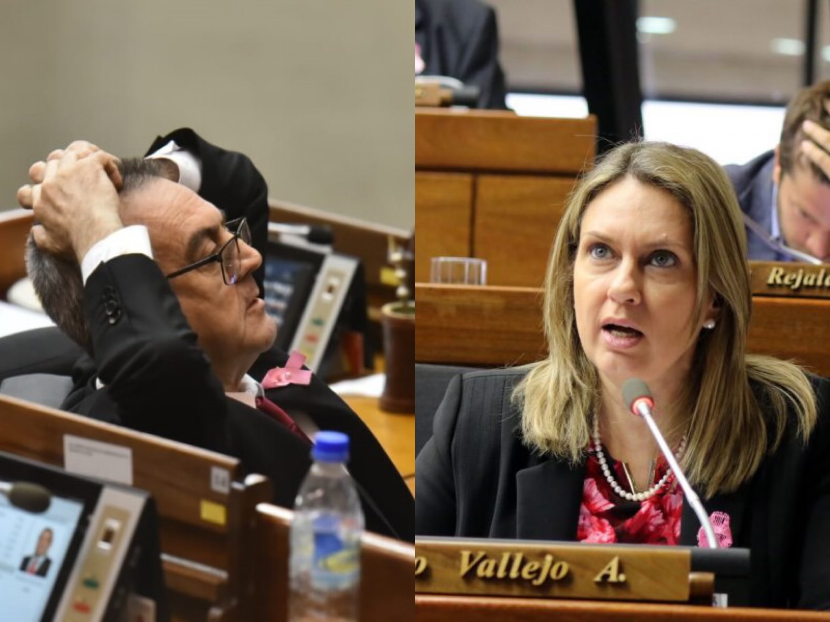 Diputado Esgaib, puede perder la investidura por “insania”