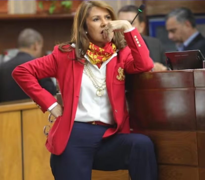 Celeste Amarilla llama a sacar al Partido Colorado del poder en 2028